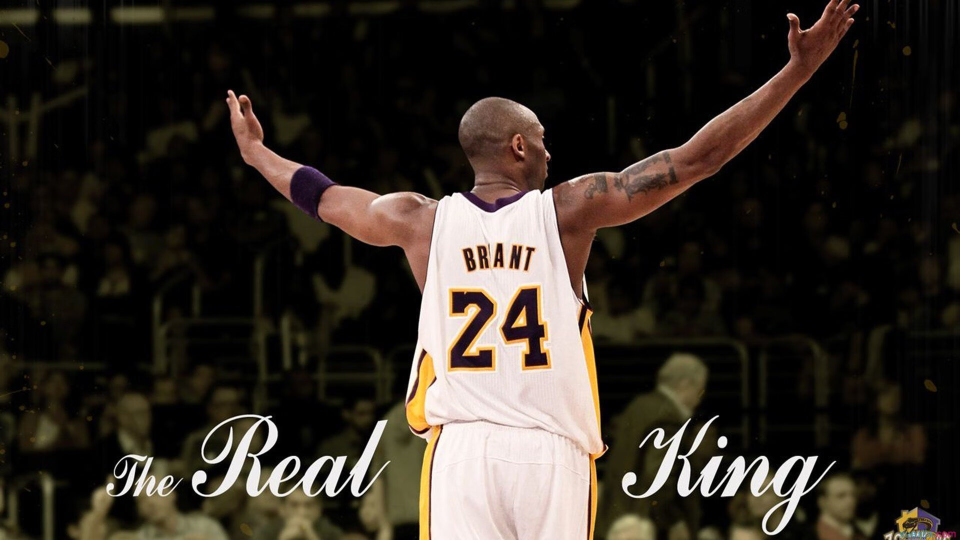 机器人竞赛激战正酣 科技创新点燃体育激情